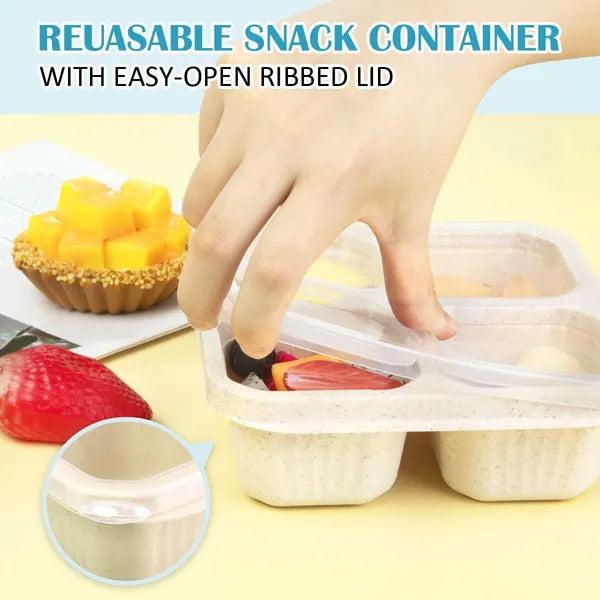 6 Pack Snack Boxes, 4 Compartment Lunch Boxes