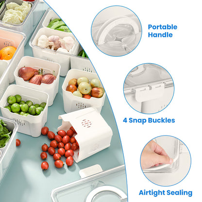 Airtight Fruit Storage Containers 4 Compartment Food Storage Containers