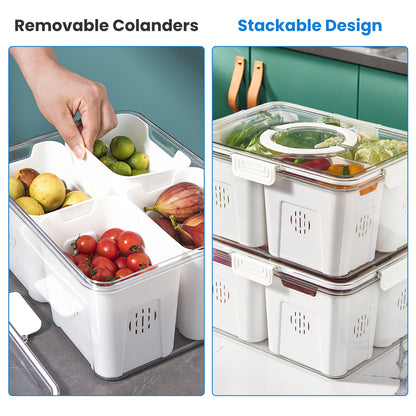 Airtight Fruit Storage Containers 4 Compartment Food Storage Containers