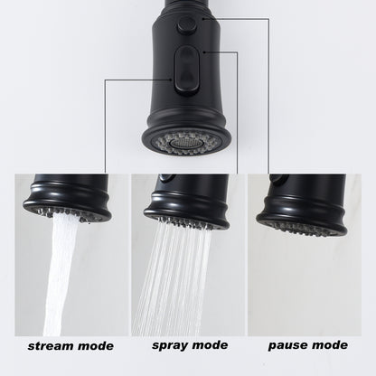 Pull-out Sprinkler Kitchen Faucet