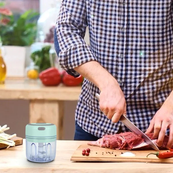 Mini Electric Garlic Chopper Ginger Chopper With 8.45OZ Capacity