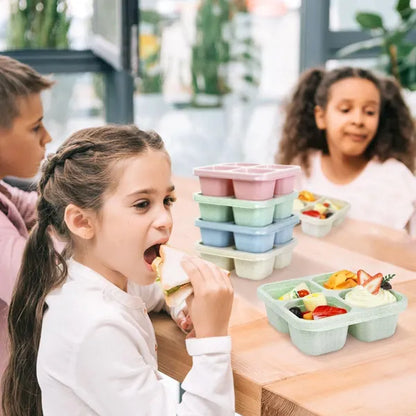 6 Pack Snack Boxes, 4 Compartment Lunch Boxes